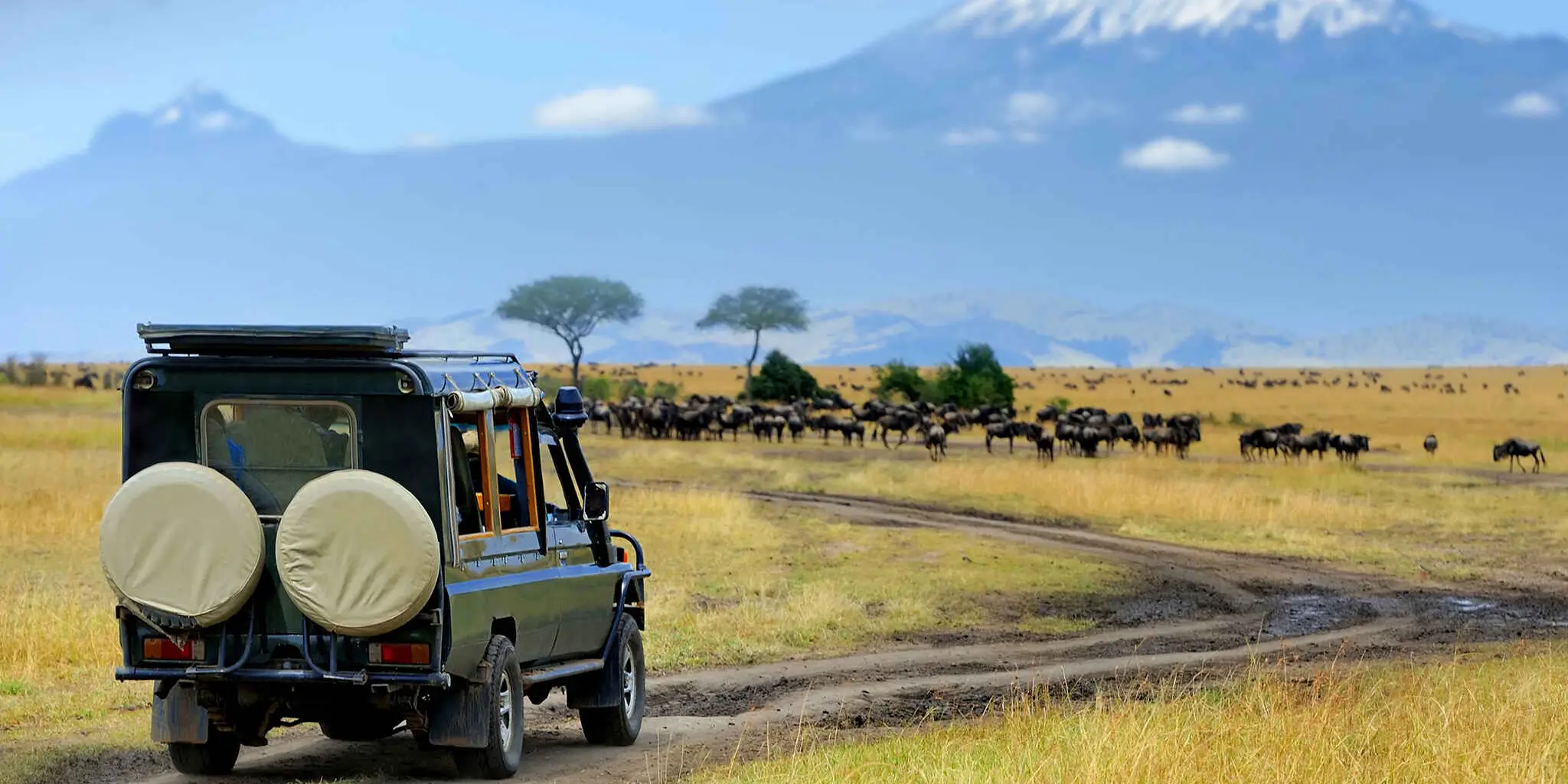 Kenya Travel Guide